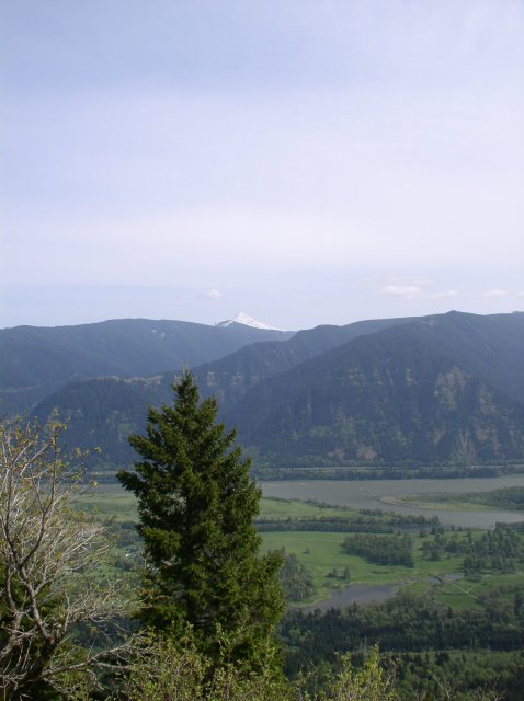 4.30.06 Hamilton Mountain 071 